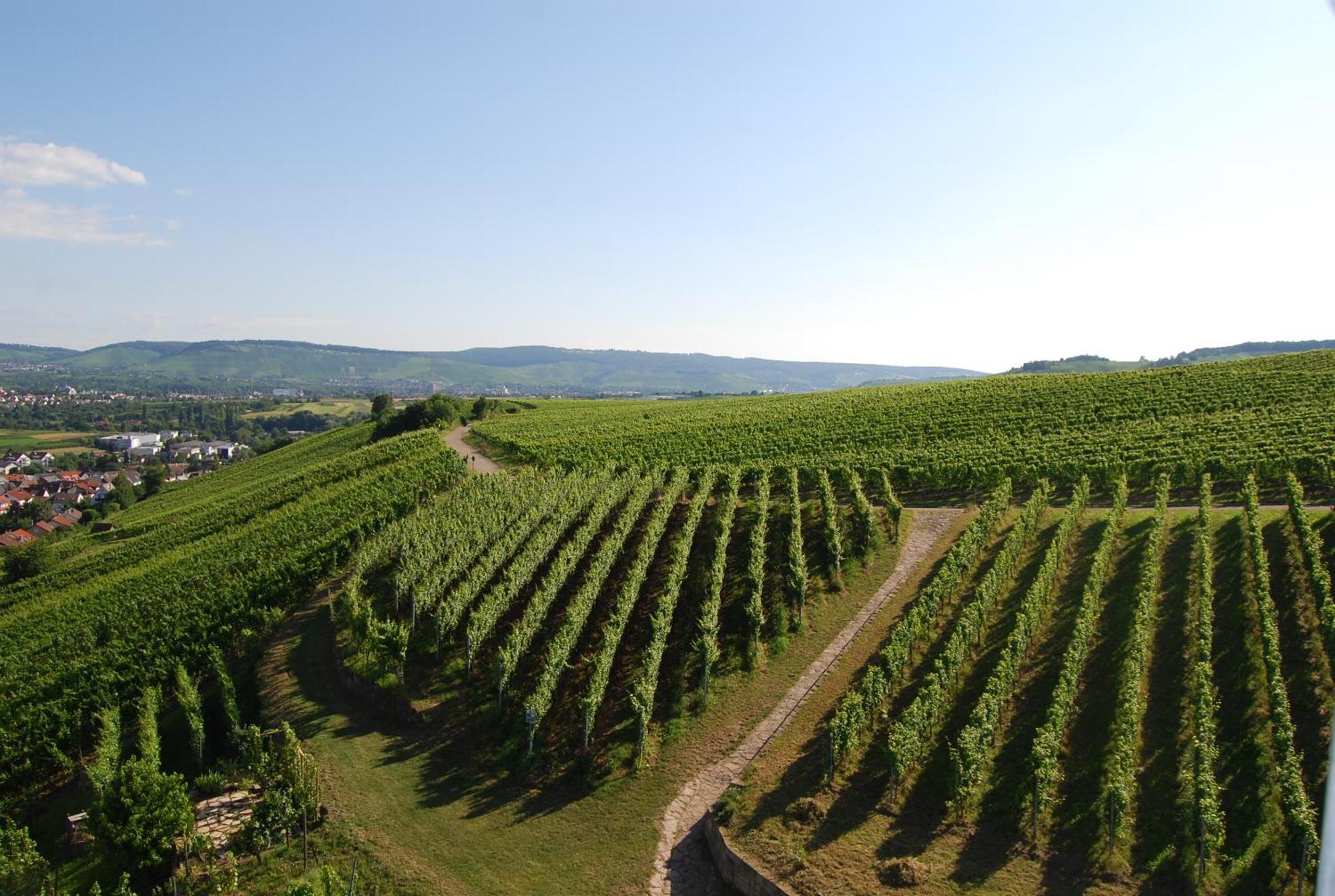 Unter Der Yburg Stetten Stetten  Екстер'єр фото