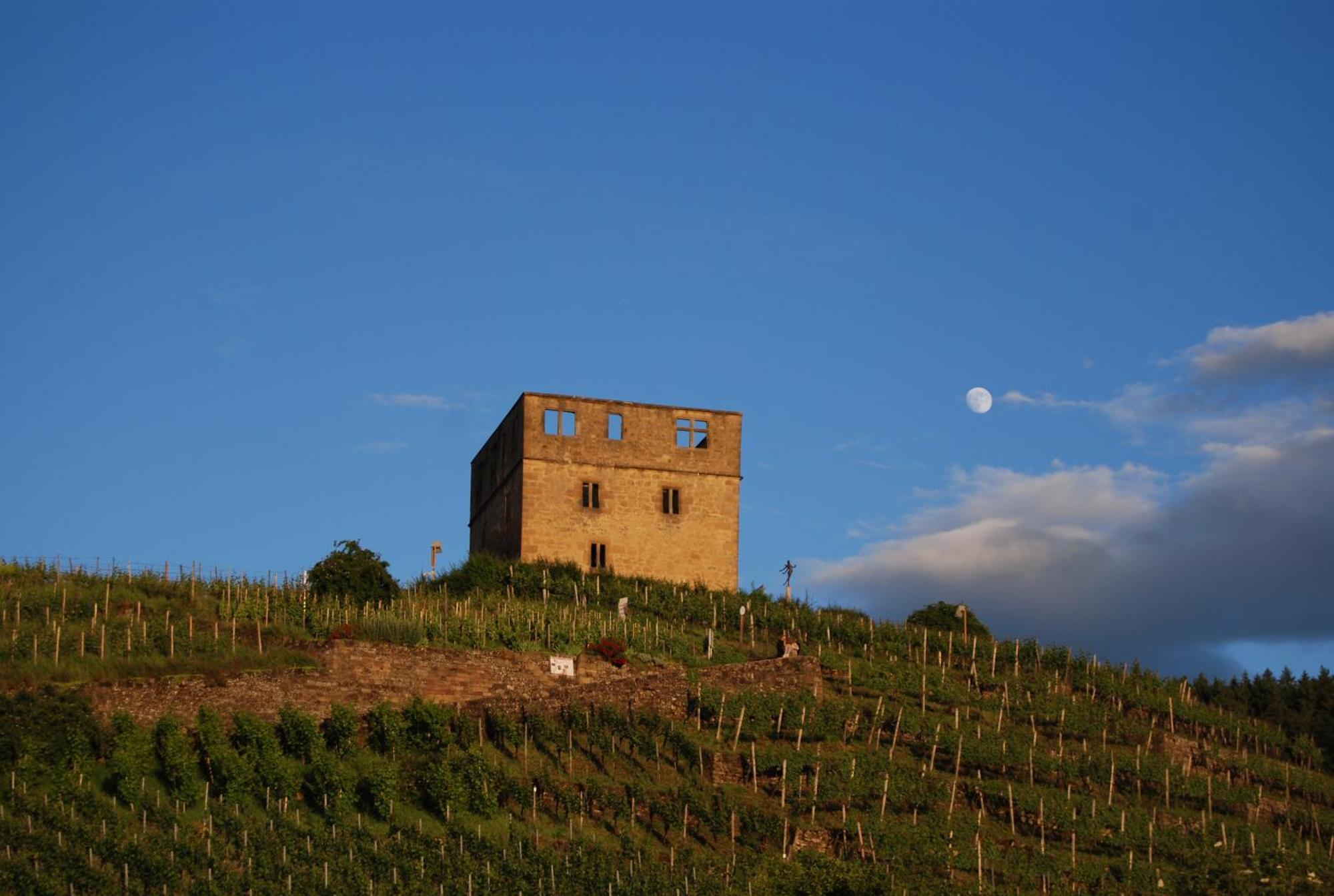 Unter Der Yburg Stetten Stetten  Екстер'єр фото