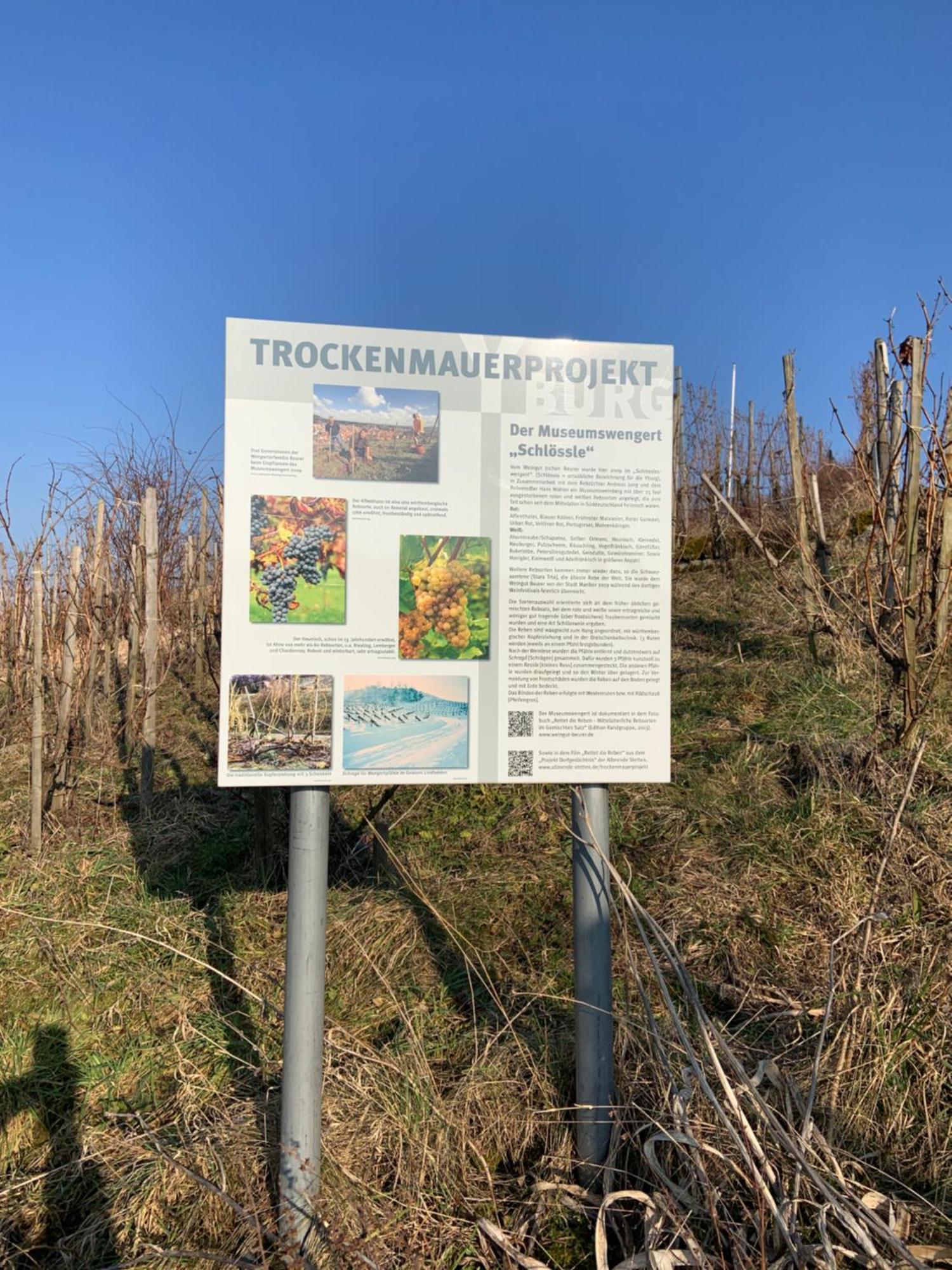 Unter Der Yburg Stetten Stetten  Екстер'єр фото
