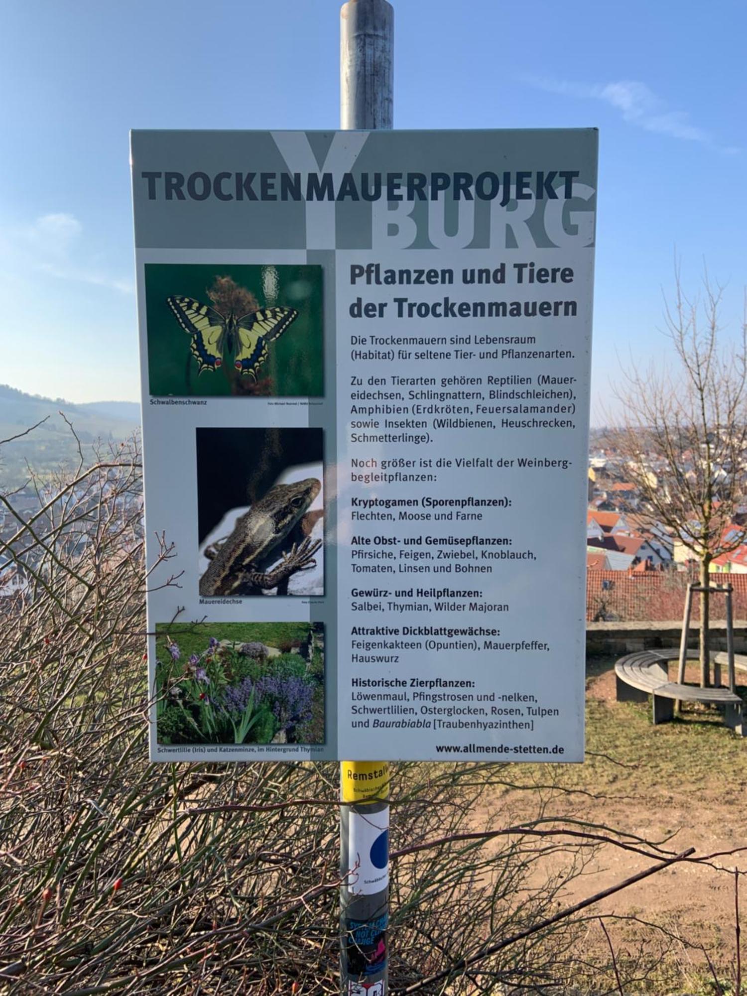 Unter Der Yburg Stetten Stetten  Екстер'єр фото
