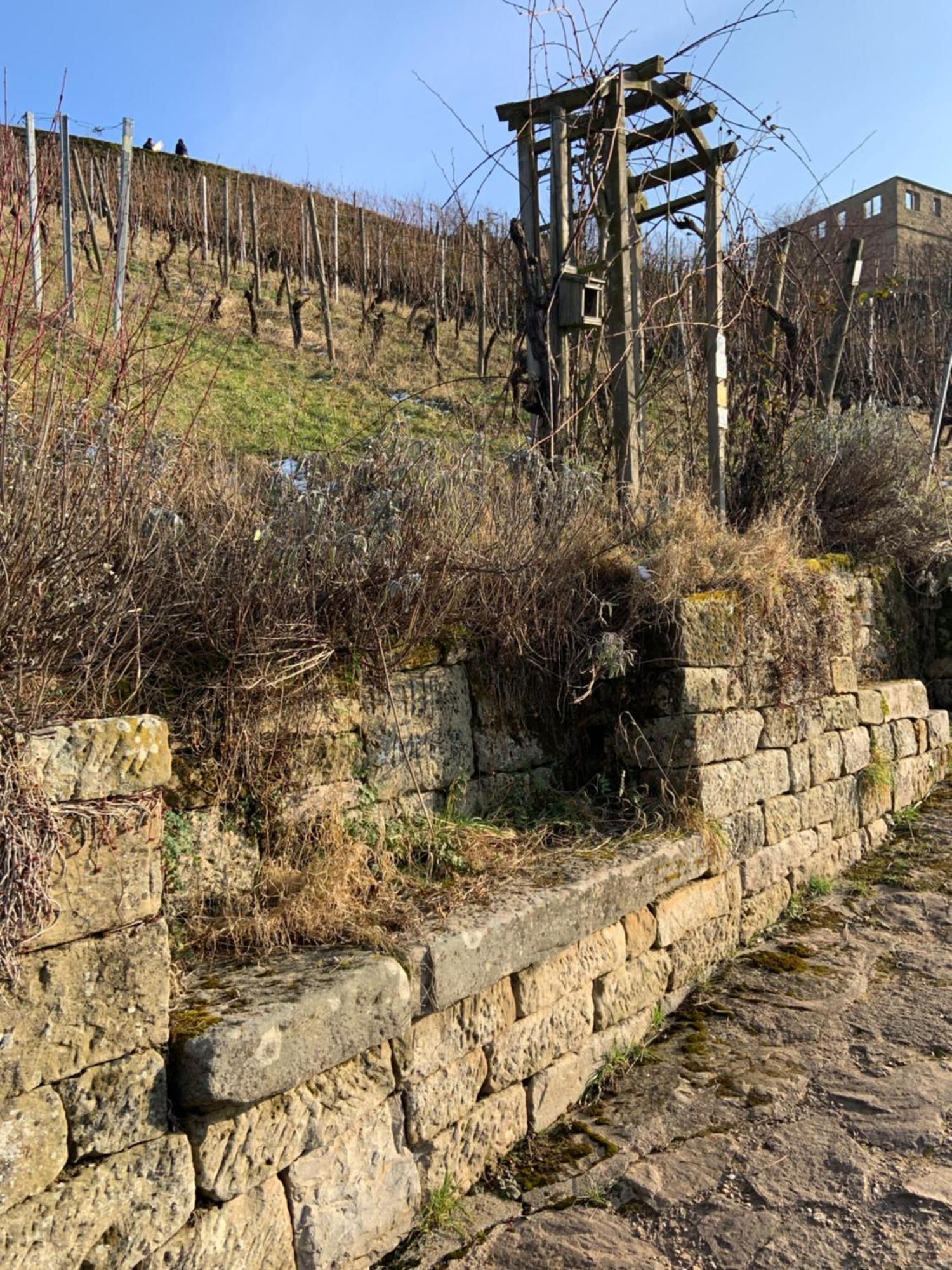 Unter Der Yburg Stetten Stetten  Екстер'єр фото