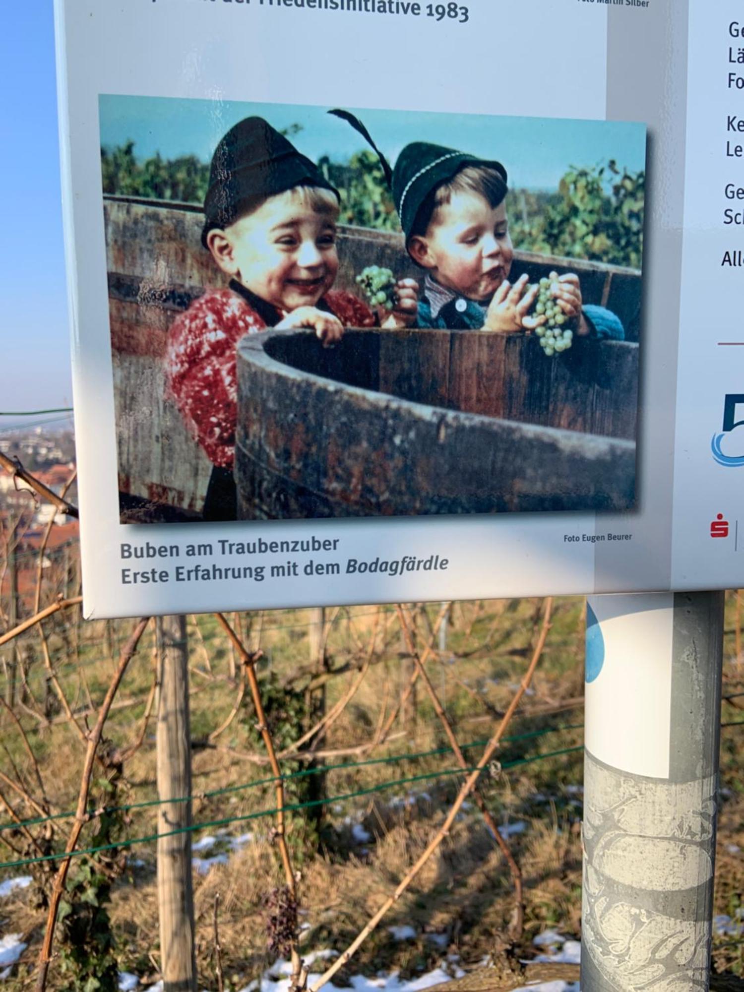 Unter Der Yburg Stetten Stetten  Екстер'єр фото